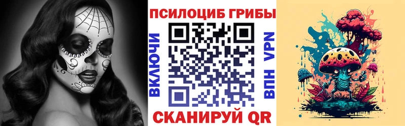 Псилоцибиновые грибы Psilocybe  Невельск 